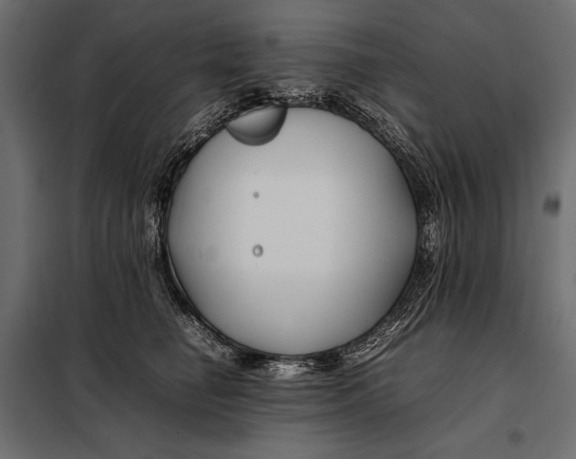 X0000098080662200804251514