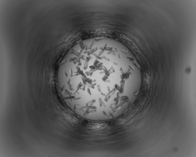 X0000098080663200804251514