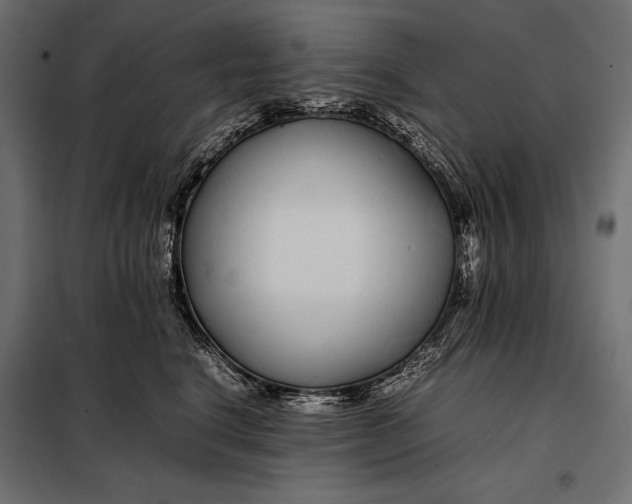 X0000098080664200804251514