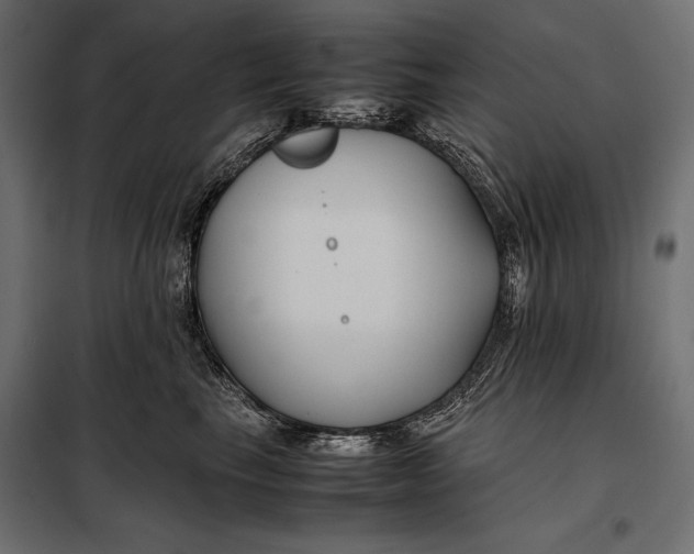 X0000098080665200804251514