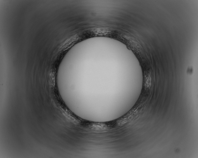 X0000098080666200804251514