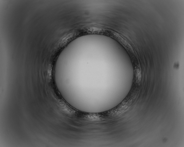 X0000098080668200804251514