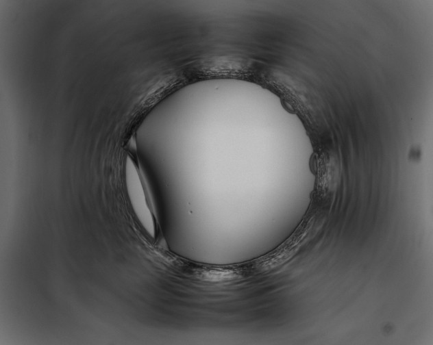 X0000098080669200804251514