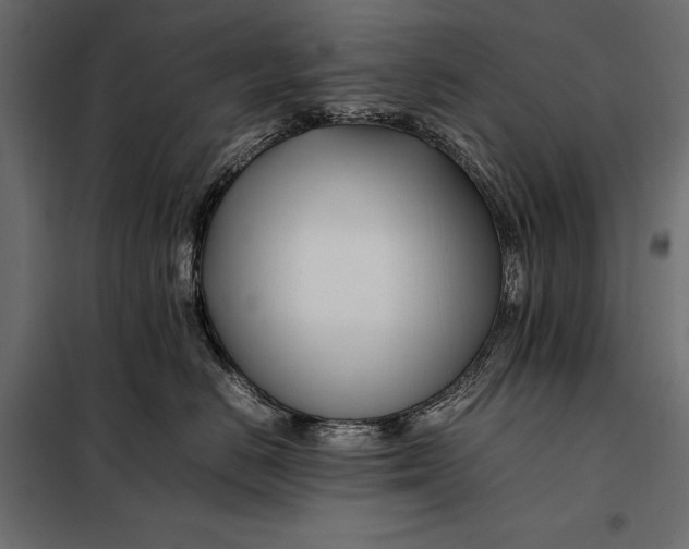 X0000098080670200804251514