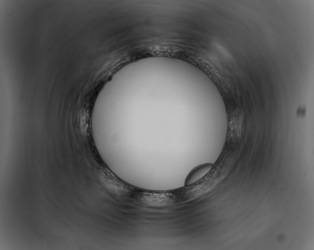 X0000098080671200804251514