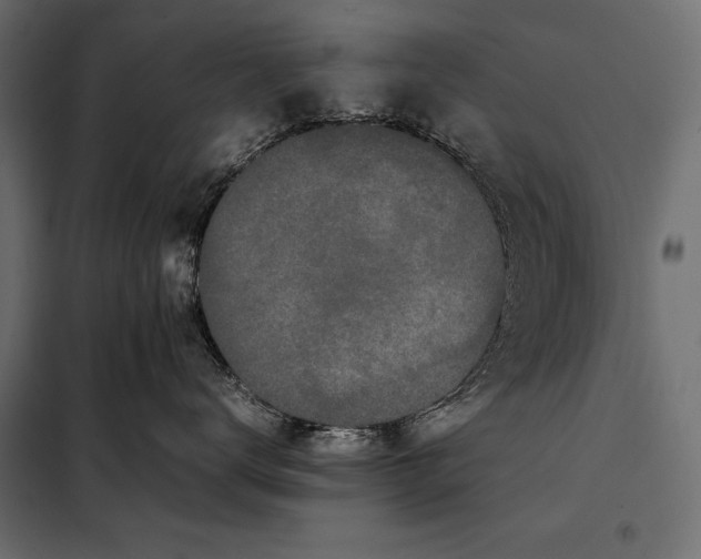 X0000098080672200804251514