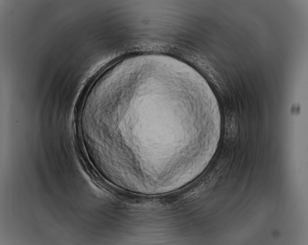 X0000098080674200804251514