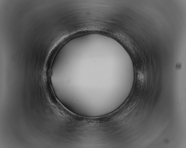 X0000098080676200804251514