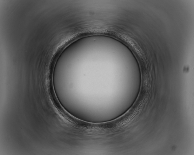 X0000098080677200804251514