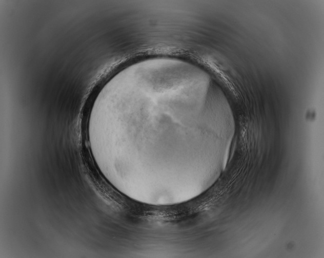 X0000098080678200804251514