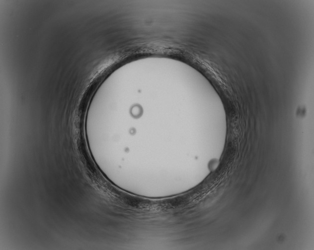 X0000098080679200804251514