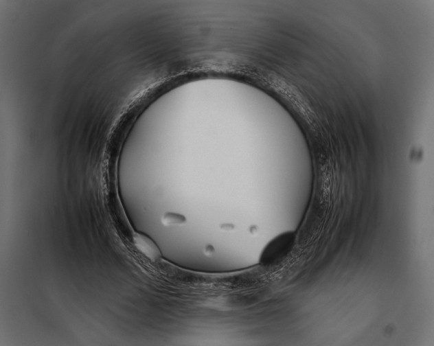 X0000098080680200804251514