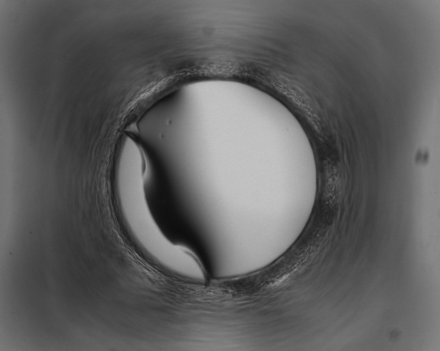 X0000098080681200804251514