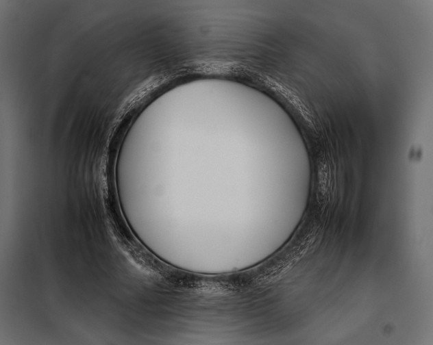 X0000098080682200804251514