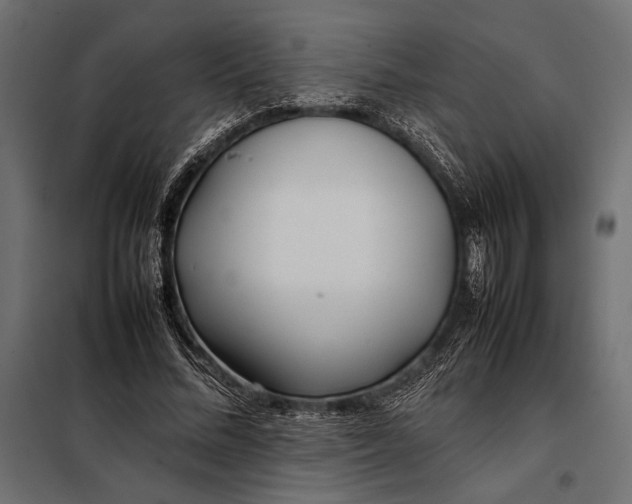 X0000098080684200804251514