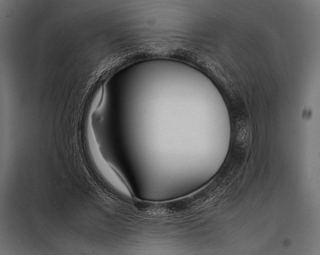 X0000098080685200804251514