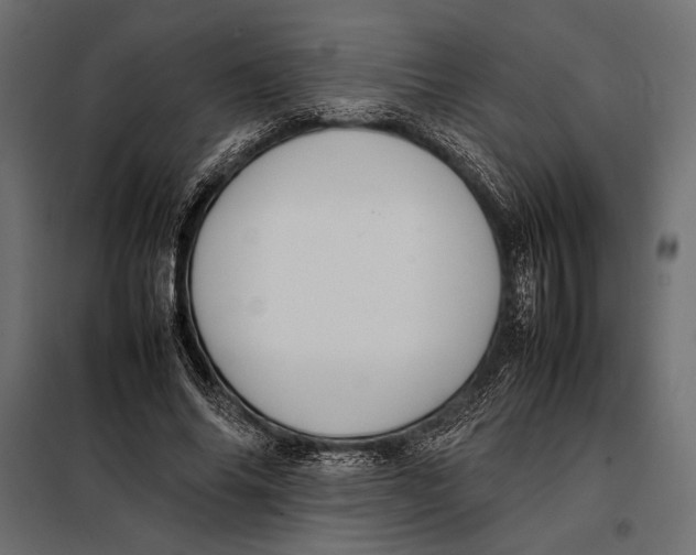 X0000098080686200804251514