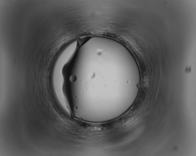 X0000098080687200804251514