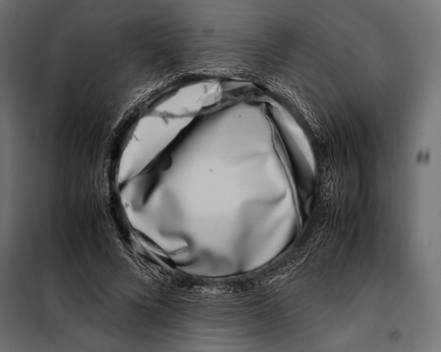 X0000098080688200804251513