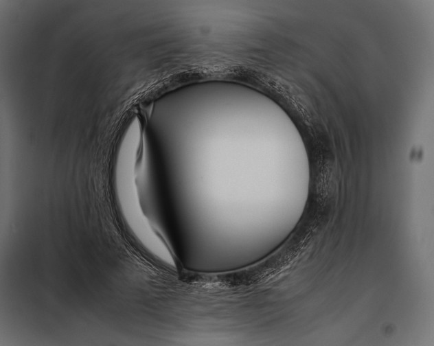 X0000098080689200804251513