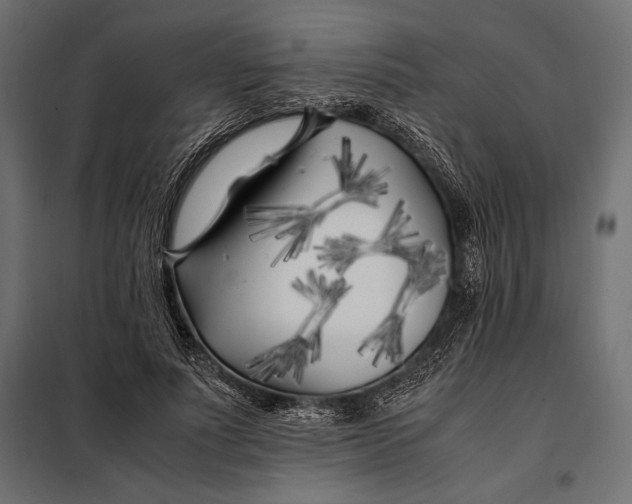 X0000098080691200804251513