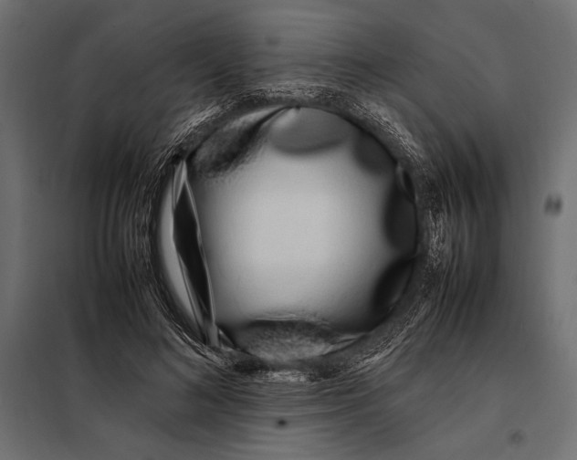 X0000098080692200804251513