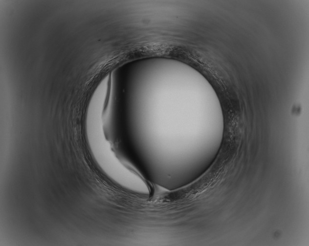 X0000098080693200804251513