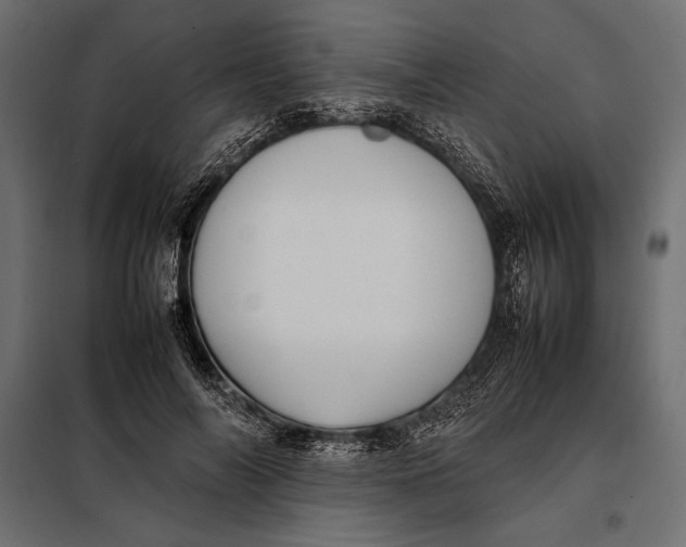 X0000098080694200804251513