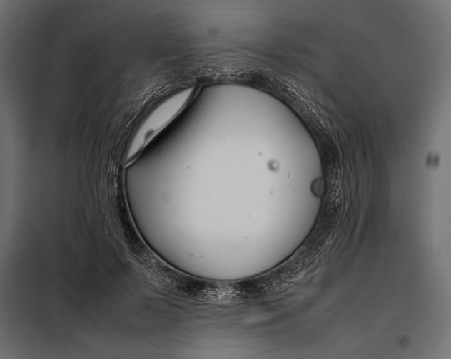 X0000098080695200804251513