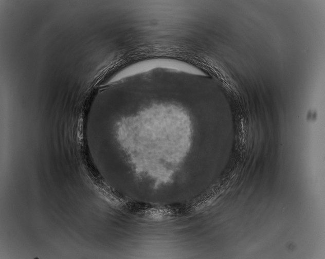 X0000098080696200804251513