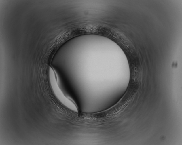 X0000098080697200804251513