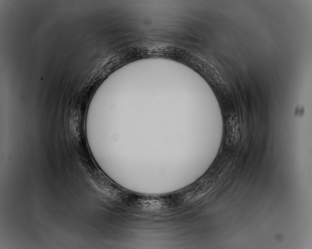 X0000098080698200804251513