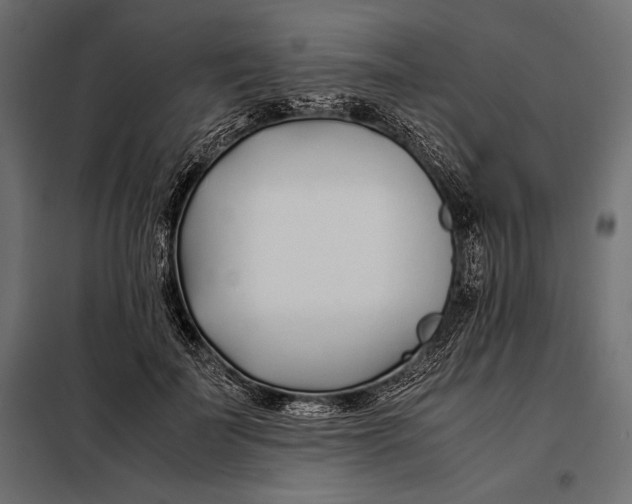 X0000098080699200804251513