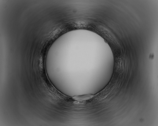 X0000098080700200804251513