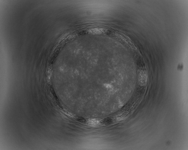 X0000098080701200804251513