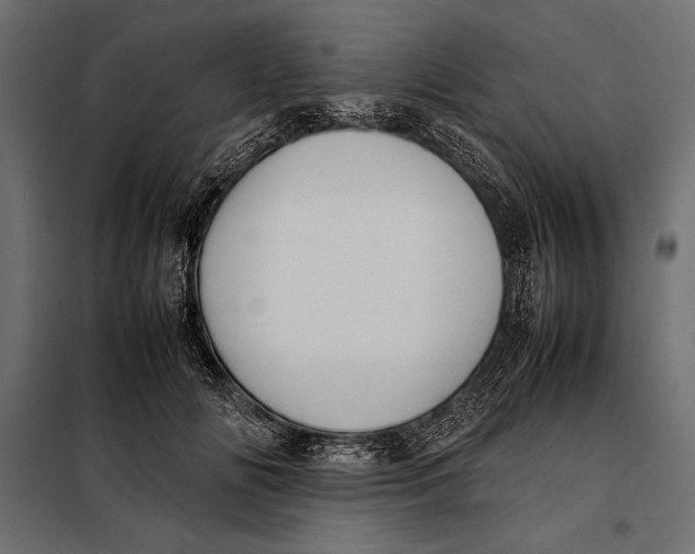 X0000098080702200804251513