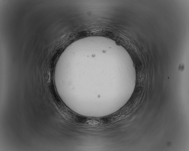 X0000098080703200804251513