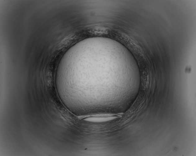 X0000098080704200804251513