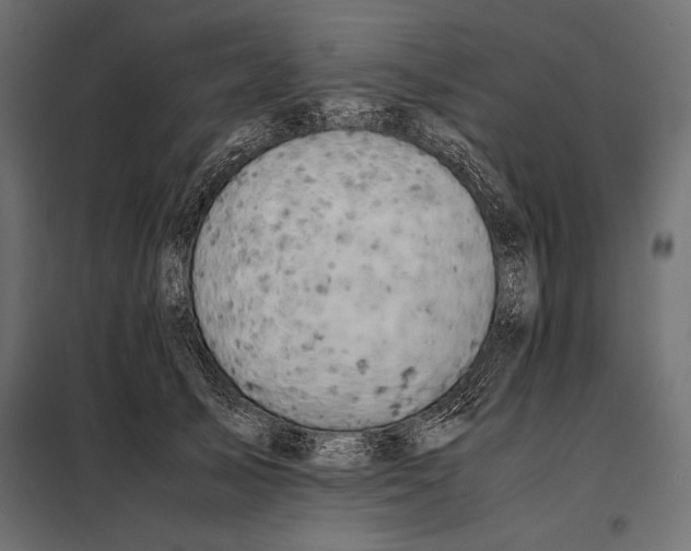 X0000098080705200804251513