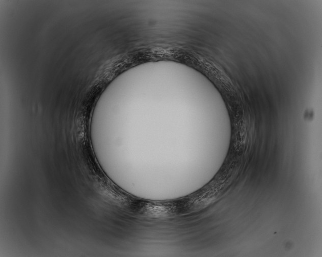 X0000098080706200804251513