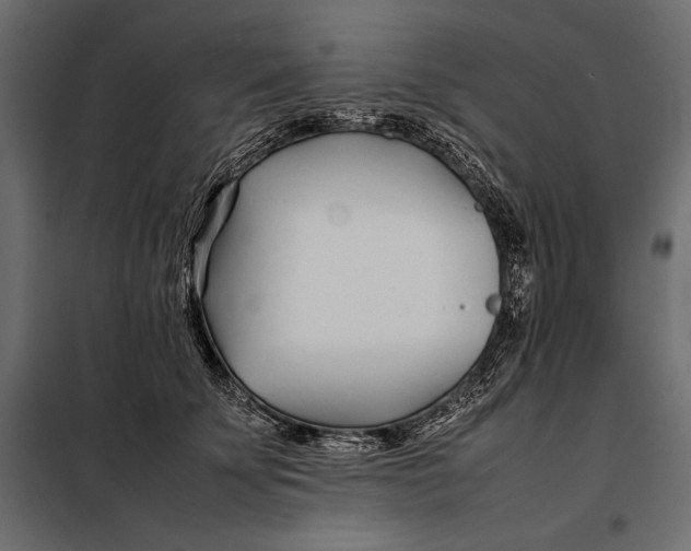 X0000098080707200804251513