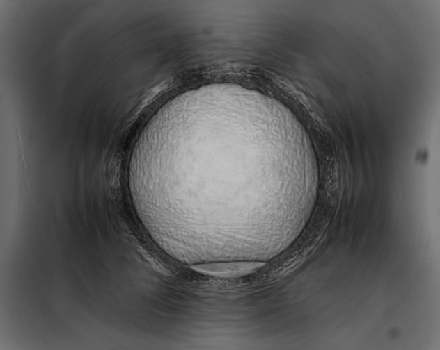 X0000098080708200804251513