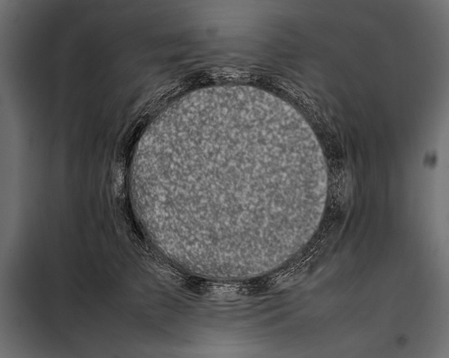 X0000098080709200804251513