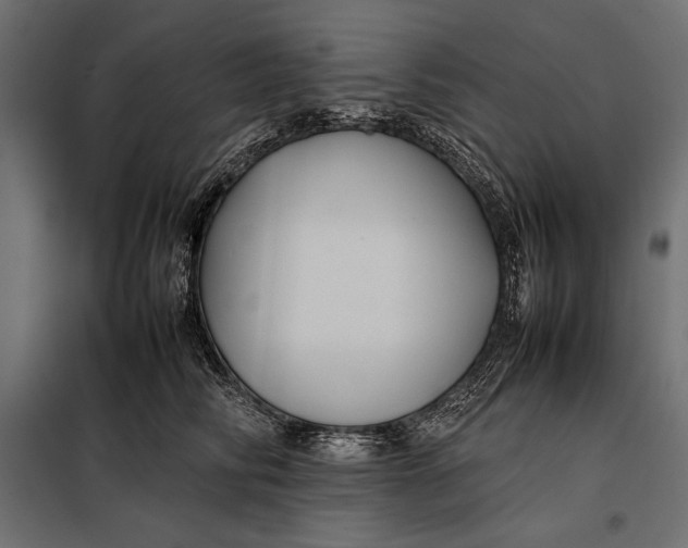 X0000098080710200804251513