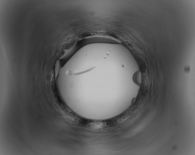 X0000098080711200804251513