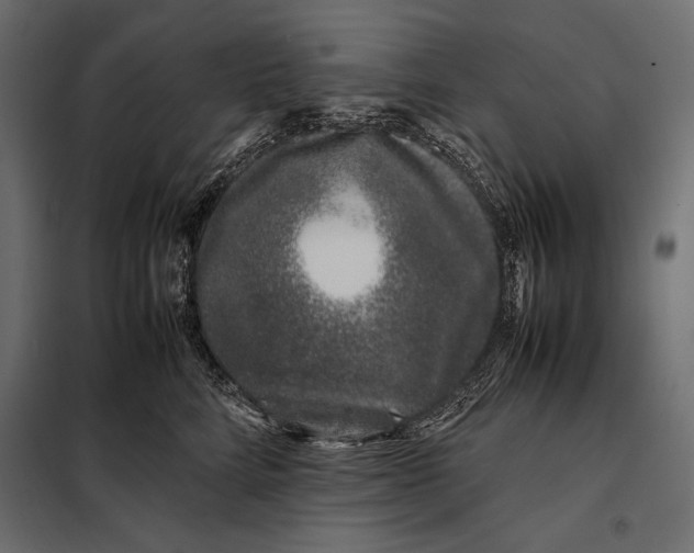 X0000098080712200804251513