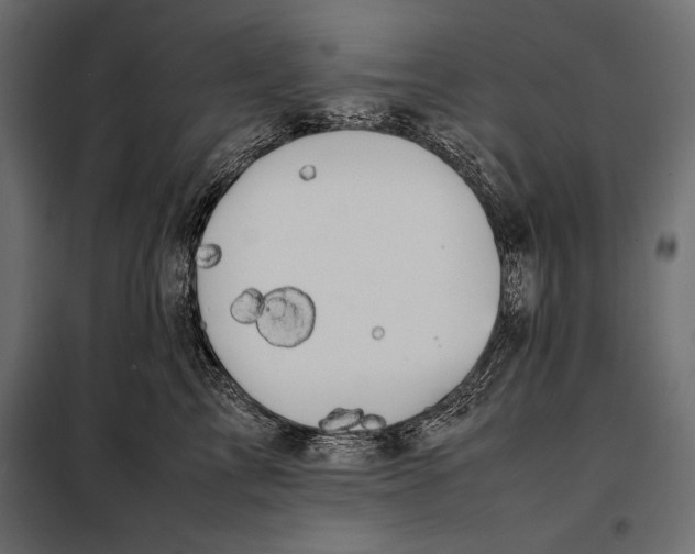 X0000098080713200804251513