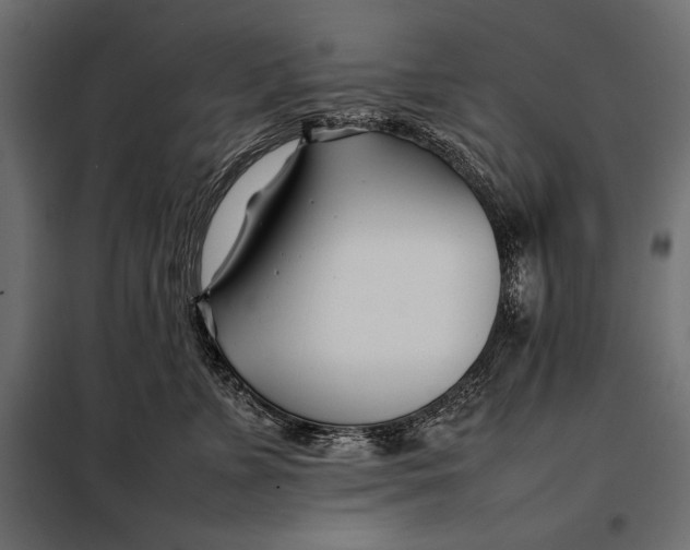 X0000098080715200804251513