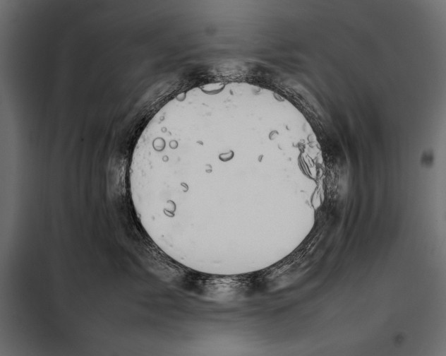 X0000098080717200804251513