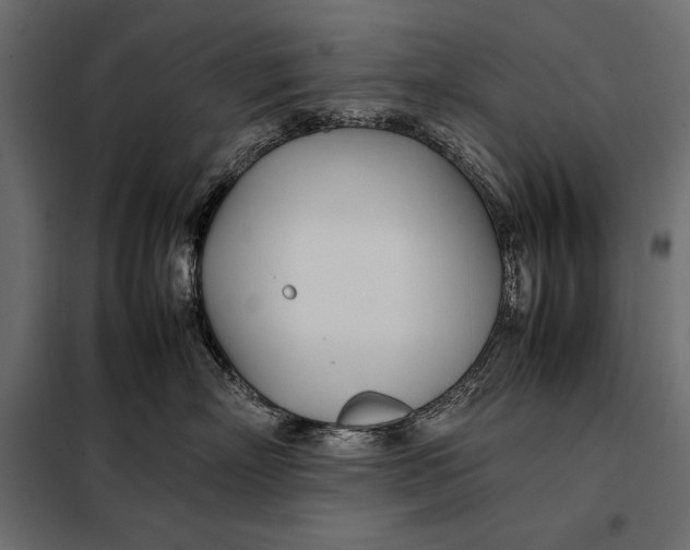 X0000098080718200804251513